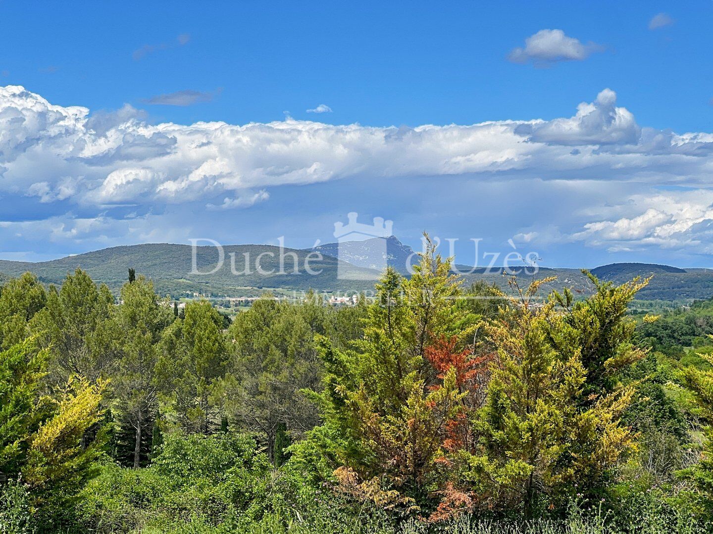 Agence immobilière de Duché d'Uzès Immobilier