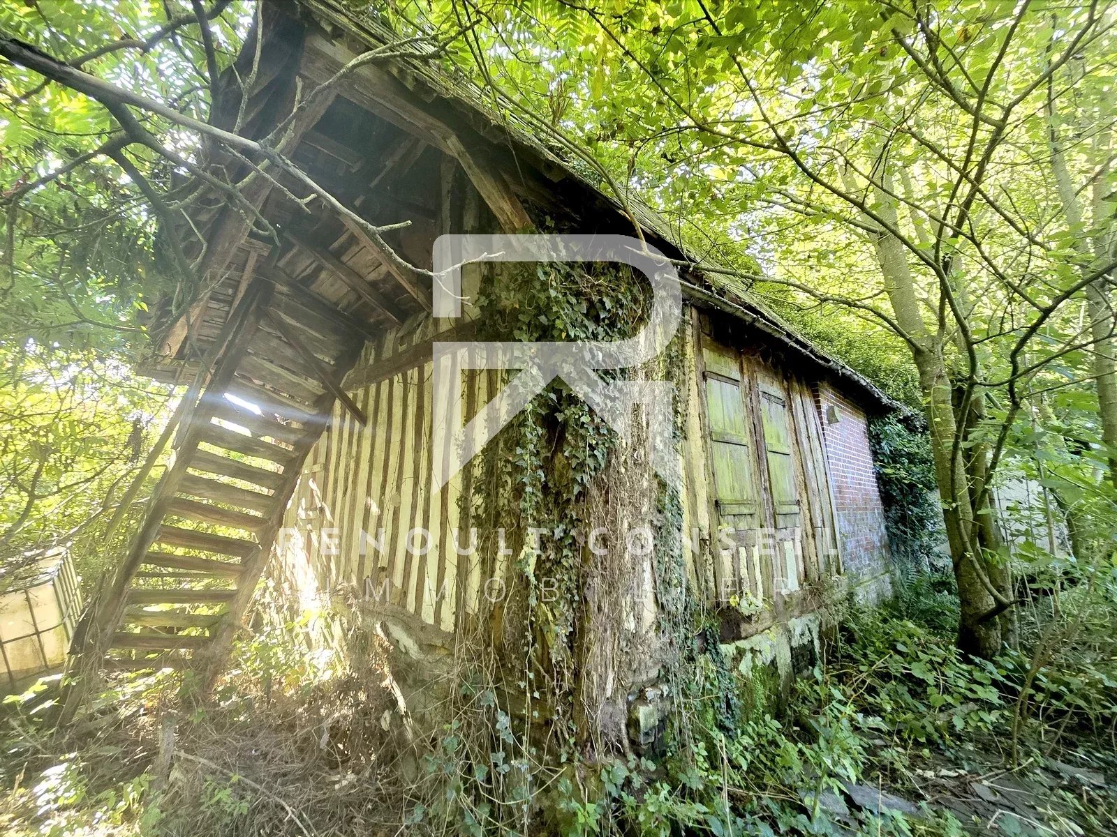 Agence immobilière de Marc DOUYERE