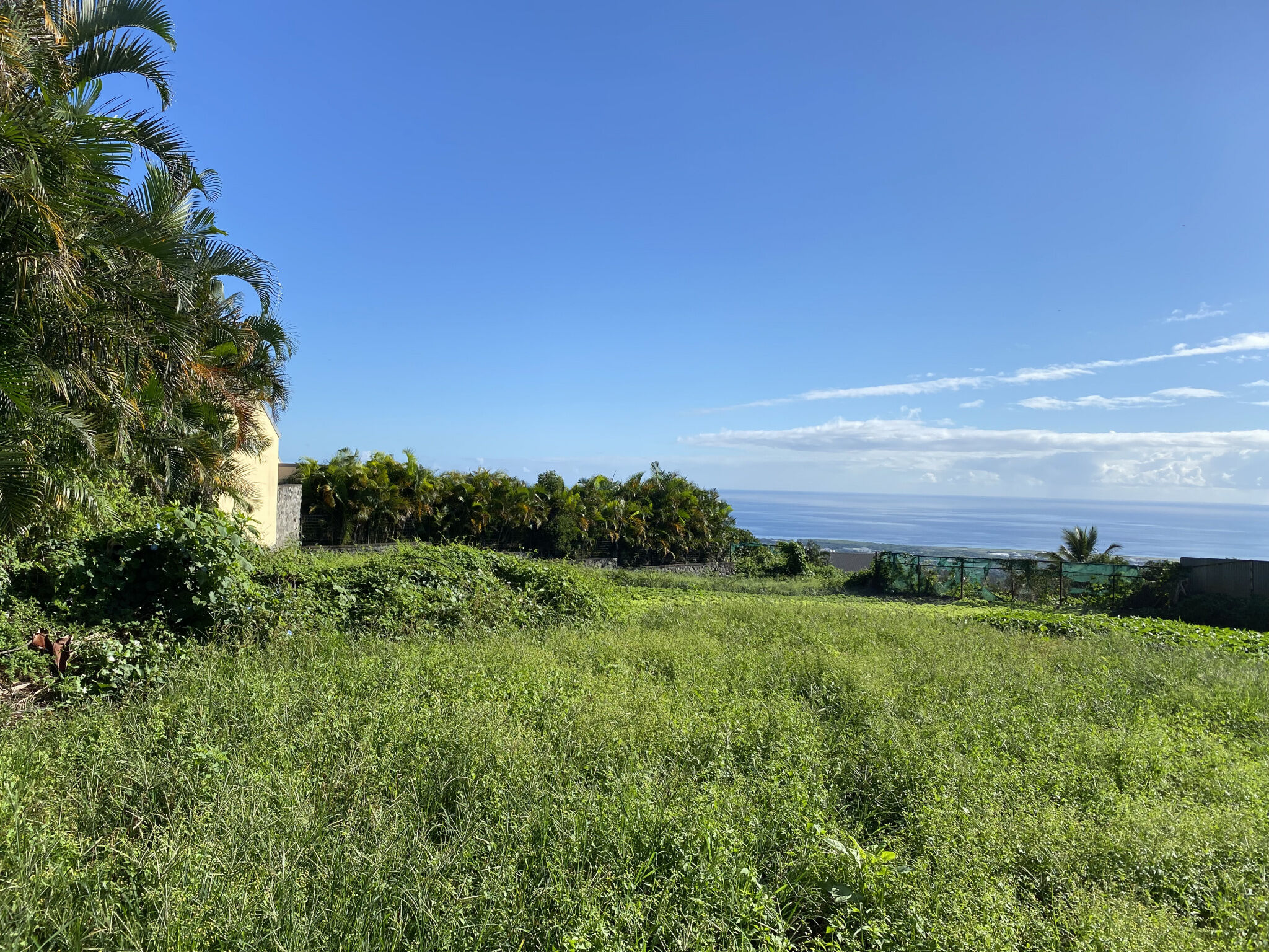 Agence immobilière de ZWALLY Herve