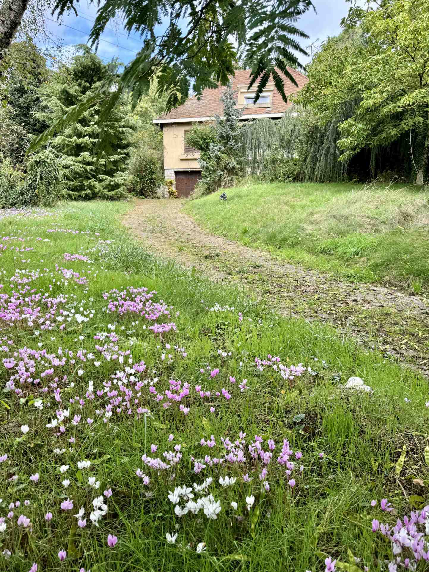 Agence immobilière de DEVERGNE Aurélien